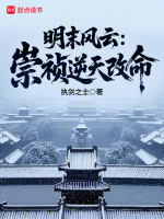 小说《明末崇祯时的名将都有谁》封面