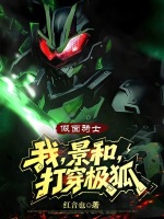 小说《假面骑士:我,景和,打穿极狐》封面