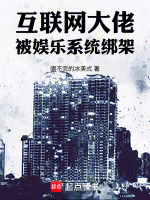 小说《互联网大佬,被娱乐系统绑架!在线》封面