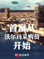 小说《沃尔玛首席采购官》封面