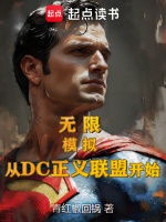 小说《无限:模拟从DC正义联盟开始》封面