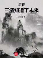 小说《洪荒三清道侣的小说》封面