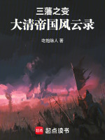 小说《三藩之乱清军损失》封面