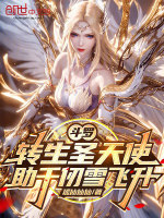 小说《斗罗大陆之圣天使》封面