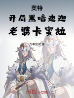 小说《开局黑暗奥特曼小说》封面