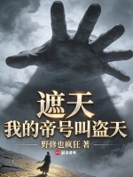 小说《遮天之我是帝兵小说》封面
