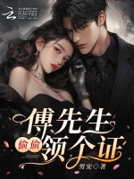 小说《傅先生,你失宠》封面