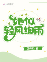 她似轻风细雨小说封面